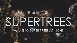 Amazing Supertrees at Night during Mid-Autumn Festival @ Gardens by the Bay, Singapore