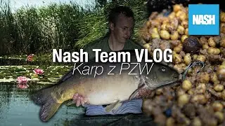 VLOG - Rafał Dudziński - Karp z PZW