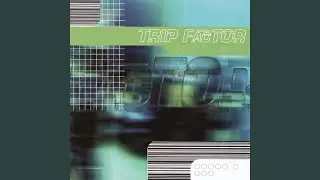 Stone Cold Groove