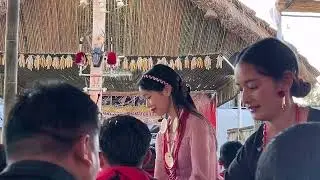 TSÜNGKAMNYO || MINI HORNBILL FESTIVAL || SHAMATOR TOWN || NAGALAND || VIRAL || TRADITIONAL CULTURAL 