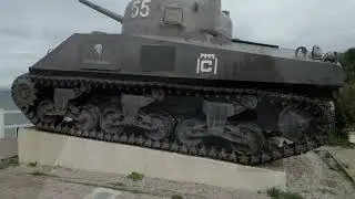 D Day 80