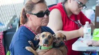 Texas Veterinary Medical Reserve Corps: Serving Our Communities Throughout Texas