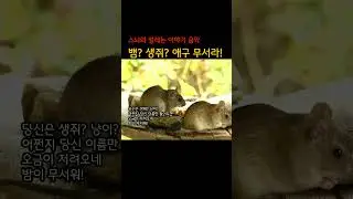 징글징글한 당신 /😆🐍 재치 있고 유쾌한 트로트 분위기, 톡톡 튀는 이모티콘과 익살스러운 문구.🎬 &ldquo;🐍😜 징글징글한 당신 🎶 웃음 터지는 트로트 한 판 💃🕺✨&rdquo;🔑