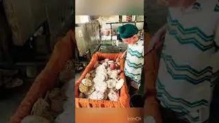 Sooo sweet🤗👏🌹#seva #langar #sewa #sikhboy #sikhi #sewadar #shortvideo #shorts #viral #100kview