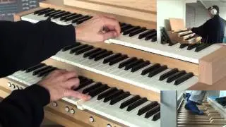 J.S Bach - Trio Sonata in C Major BWV 529, first movement (
