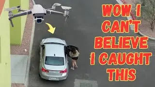 lizard drone 2