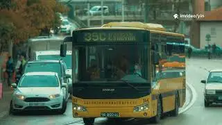 Transportation and Environmental Protection