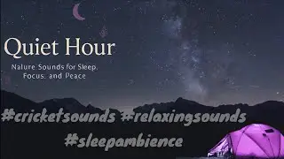 Tropical Night Nature Sounds &ndash; Crickets and Frogs Ambience for Sleep and Relaxation