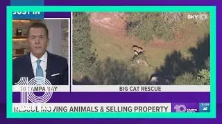 Tampa's Big Cat Rescue plans to move all animals, sell property