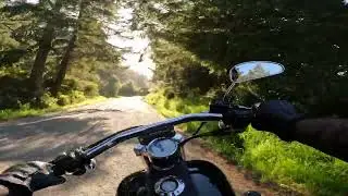 Mattole Road towards Ferndale