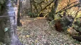 Tahoma Cabin - How to find the river access from the cabin. ￼