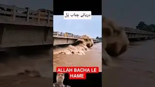 heavy flood in Chenab River bridge. 😱🙏 #shorts #youtubeshorts #flood