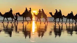 Sunset Camel ride at Cable Beach Broome