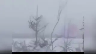 你见过最诡异的事情是什么？这些事情如果没有被拍到，没人会相信