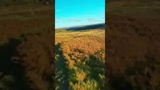 Hunting deer 🦌 DJI Avata  #fpv #quadcopter #adventure #djiavata #deerhunting #djiavata