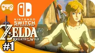 THE LEGEND OF ZELDA BREATH OF THE WILD #1 | EL GUERRERO DORMIDO