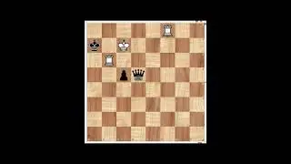 Endgame Tactics! Grandmaster-Level Endgame brilliant move  #chessendgames #briliantchess
