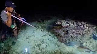 Menombak ikan tengah malam musim badai hasil  melimpah