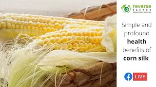 Simple and profound health benefits of corn silk