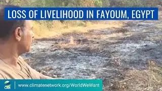 Loss of Livelihood for Small-scale Farmers in Fayoum, Egypt |  #WorldWeWant