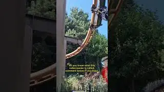 do you know this rollercoaster #chessington