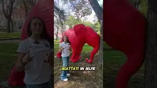🎉 Vercelli: Giulia Perotti e Cracking Art, il binomio perfetto!