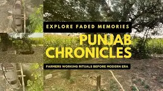 Punjab Rural India's Hidden TREASURE The Tubewell Scene