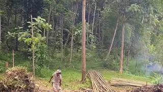Village Farming Method Using Fire to Clean Fields #RuralAgriculture #TraditionalFarming