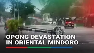 #OpongPH hits Oriental Mindoro: Trees, street lights, wooden structures toppled | ABS-CBN News