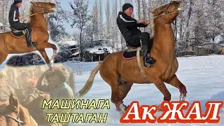 Далили бар ак жал АКЫРКЫ СООРУН МАШИНА БОЛДУ 