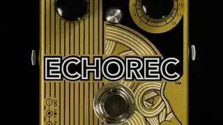 Catalinbread Echorec Demo - BestGuitarEffects.com
