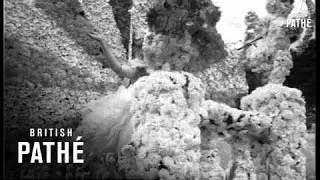 Jersey - Battle Of Flowers (1954)