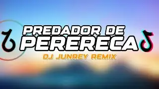 PREDADOR DE PERERECA REMIX - DJ JUNREY
