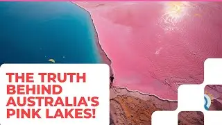Why Are Australian Lakes Pink? The Science Behind Nature&rsquo;s Most Unique Color!