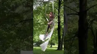 Aerial silks on a tree in nature