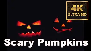 Fiery Gaze: Scary Pumpkins in 4K Video Screensaver Wallpaper for Tv