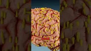 Что это за СМЕРТЕЛЬНЫЙ паразит у вас? 😳