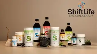 &laquo;Ассортимент продукции SHIFT LIFE: подробное объяснение преимуществ&raquo;