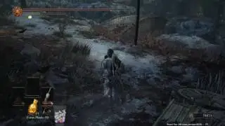 Snowy Fields of Gank Squad - Dark Souls 3 pt.29