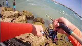 Fishing at the Sebastian inlet when the bluefish are running non stop!!