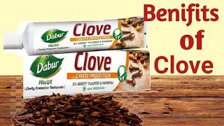 Dabur Clove Cavity Protection Toothpaste