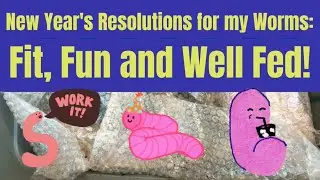 New Year's Resolutions for my Worms: Fit, Fun and Well Fed!