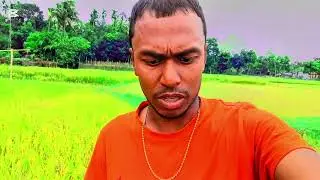 Sazedul vlog সবাই চ্যানেলটাকে সাবস্ক্রাইব করে দিবেন ধন্যবাদ সবাইকে