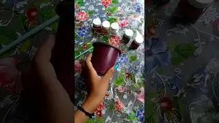 Plastic Pot Painting idea 🌱🖌️|| Diy pot painting ideas#shorts#trending#viralvideo