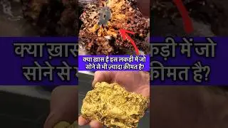 This Twisted Wood Is Worth More Than Gold! #ViralVideo #MustSee #DidYouKnow #RareWood #TwistedWood