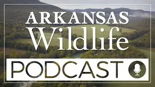 Arkansas Wildlife Podcast Ep.77: Exploring Arkansas's Natural Treasures: River to Ridge Book Launch