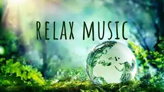 Best Relaxing Music for Meditation and Sleep #musicaljourney #musicaljourny #meditation #naturerelax