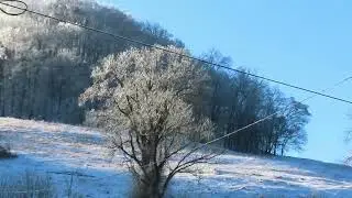 Nature's Beauty - 27 Jan 2026