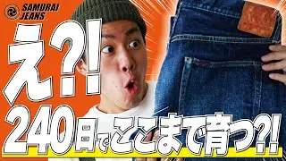サムライジーンズの大戦モデルは、240日でここまで育つ！17ozヘビーオンスの本気の色落ち【アメカジ】