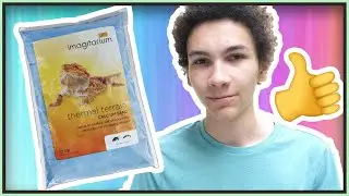 Why Calcium Sand is the Best Reptile Substrate!